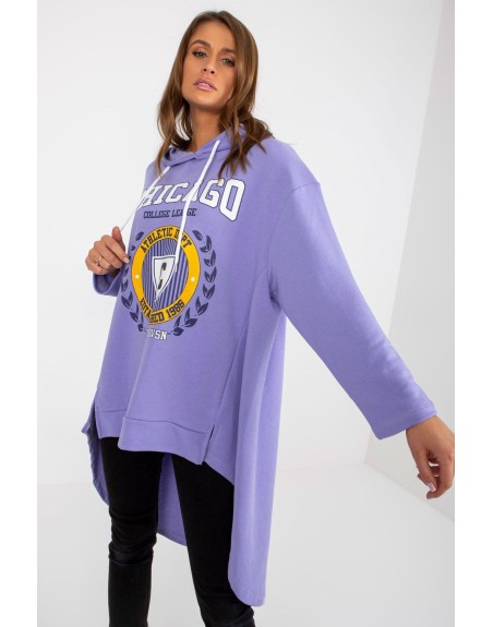  Sweatshirt model 174713 Fancy 